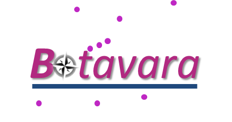 Logo Botavara Consulting