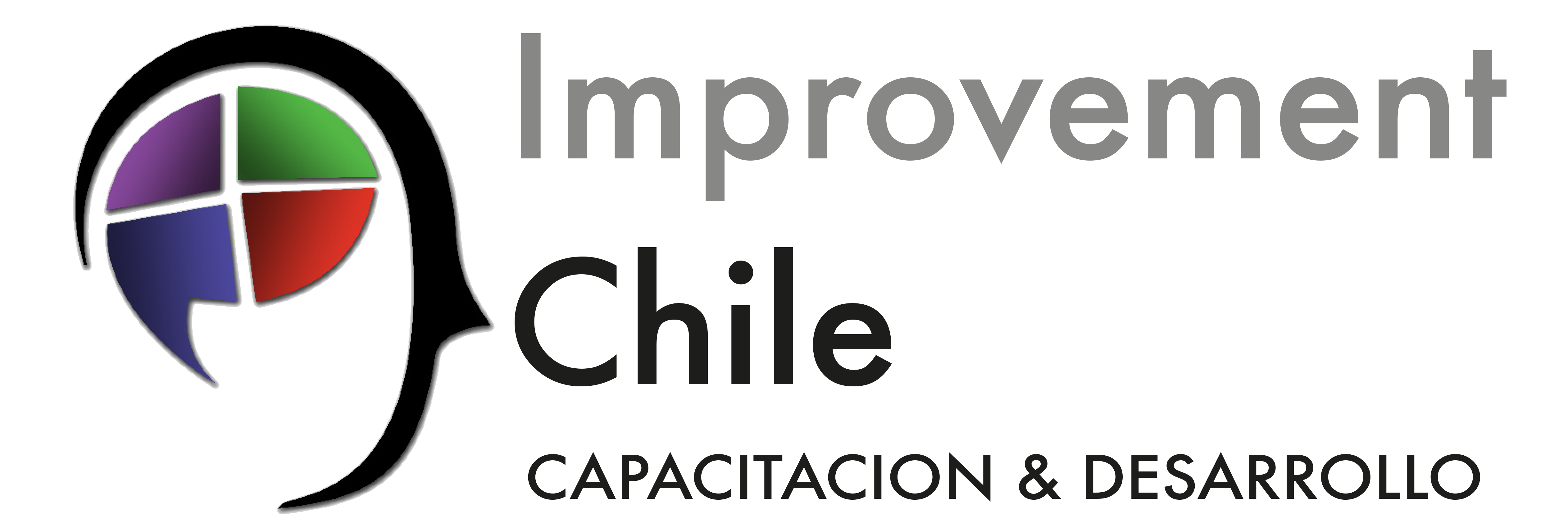 Logo Improvement Chile