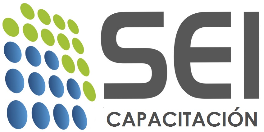 Logo SEI Capacitación Ltda