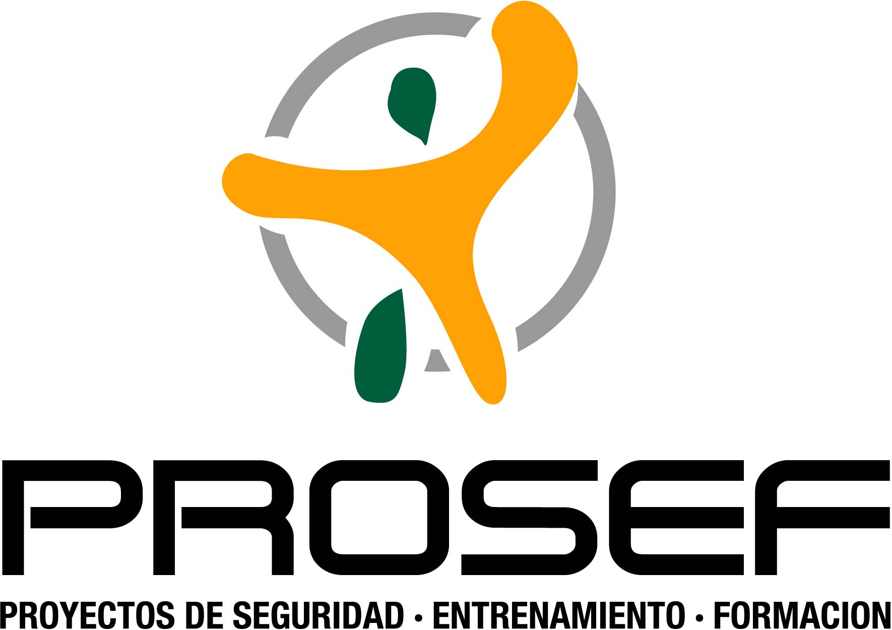Logo PROSEF