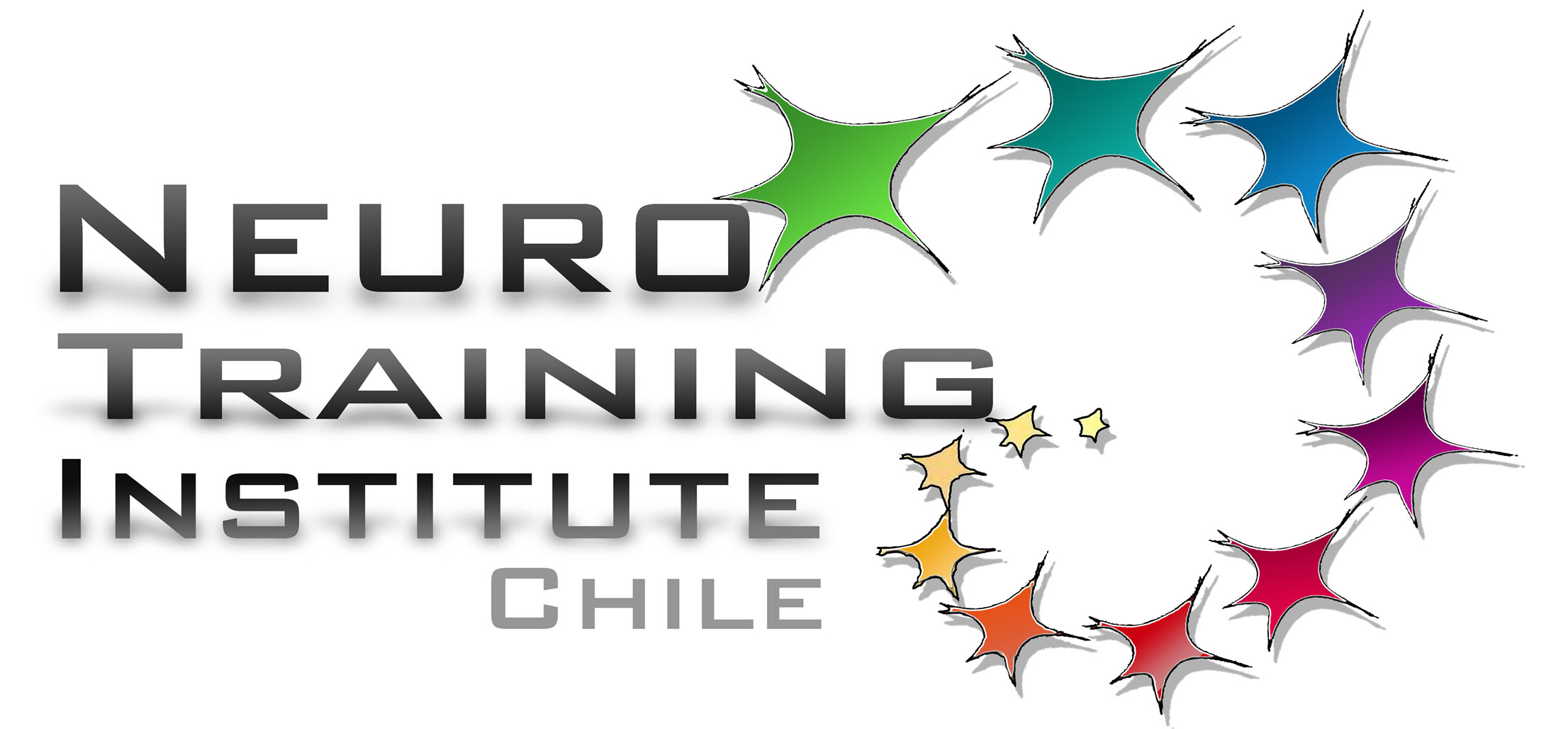 Logo Neurotraining Institute Chile