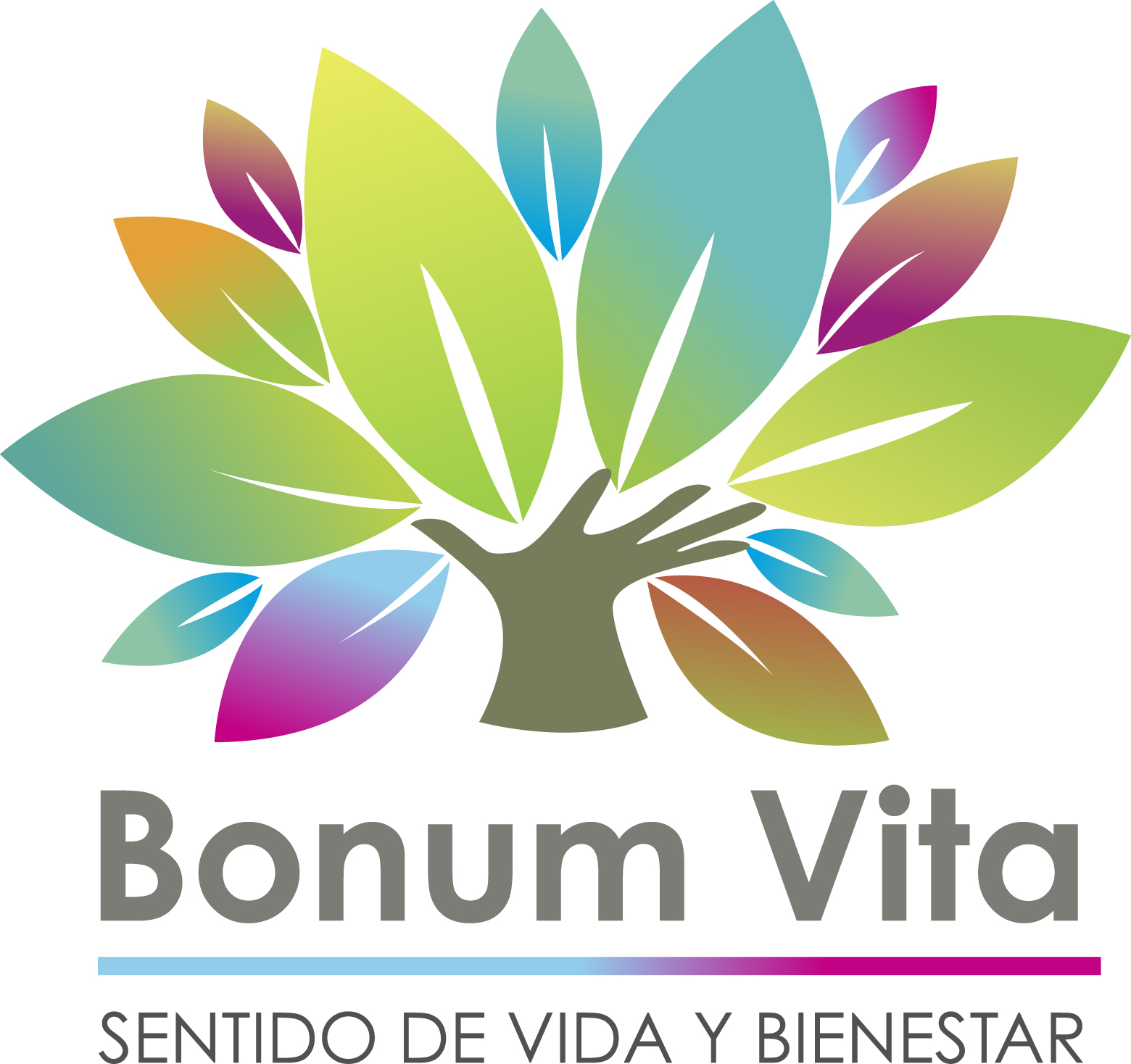 Logo Bonum Vita SpA
