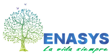 Logo ENASYS