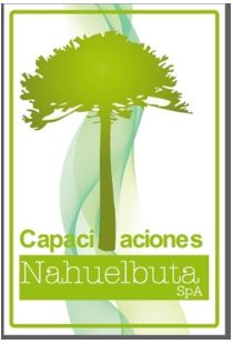 Logo SOCIEDAD DE CAPACITACION NAHUELBUTA SpA
