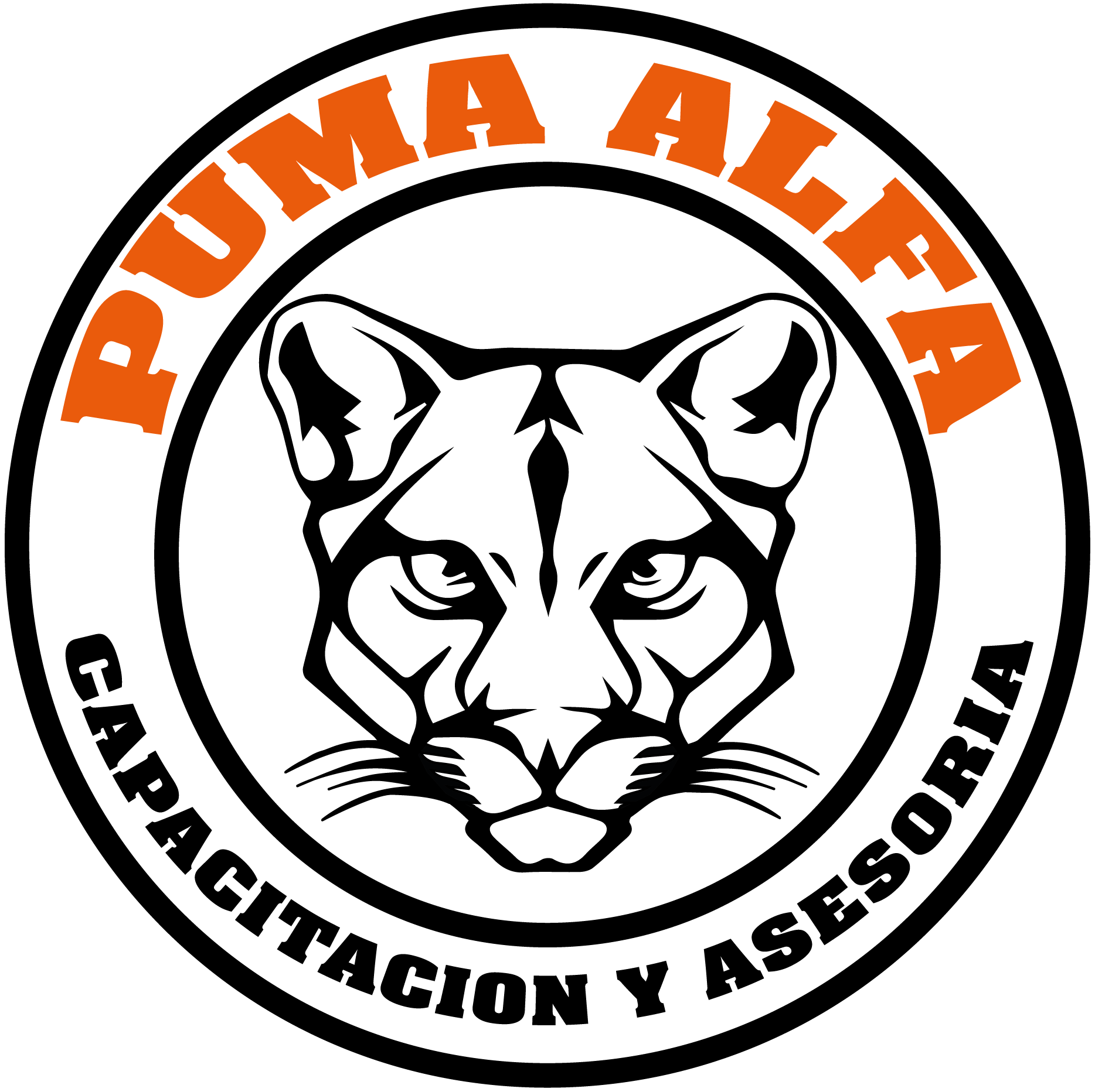 Logo Puma Alfa Ltda