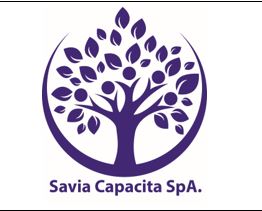 Logo SAVIA CAPACITA SpA