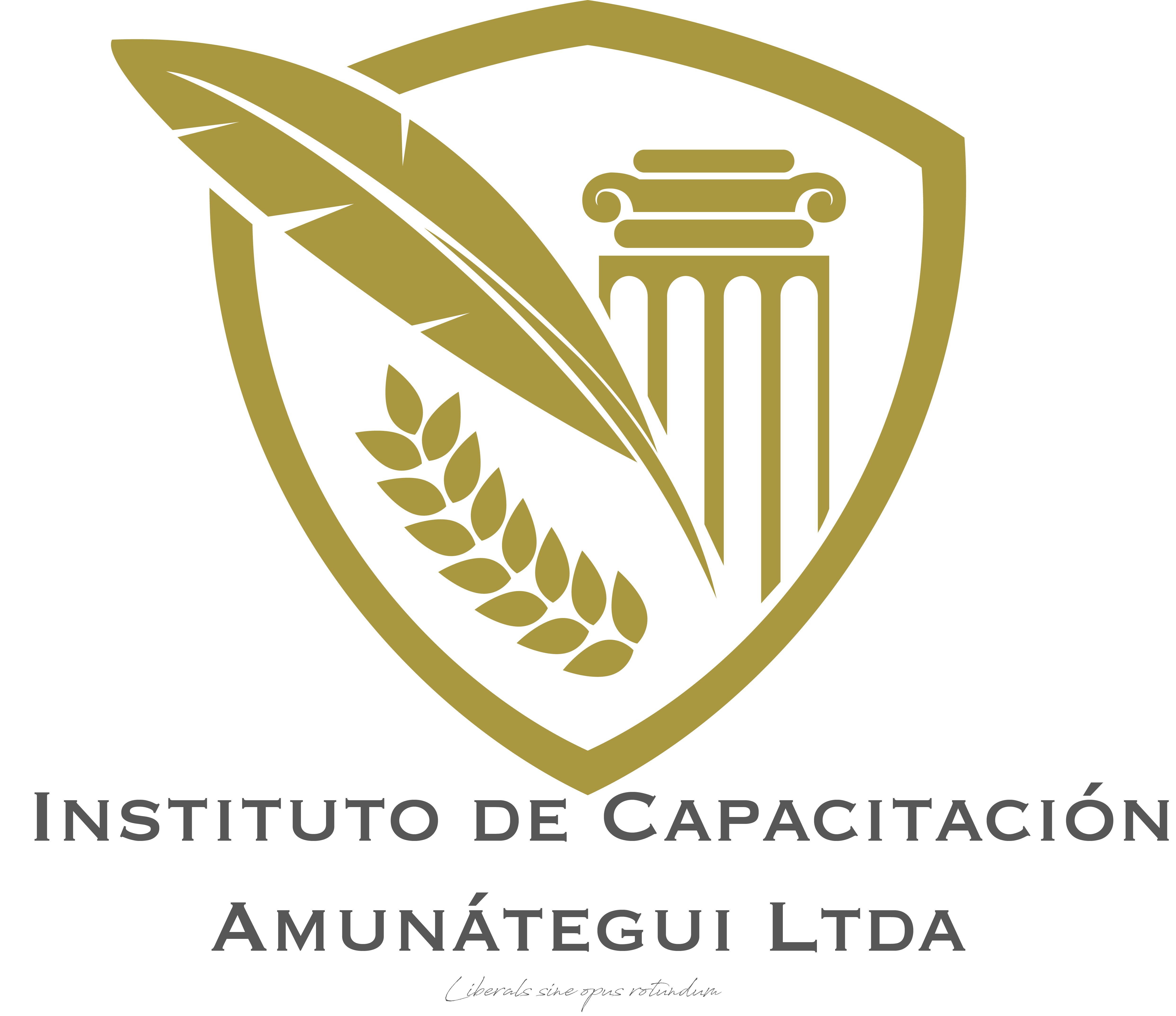 Logo Instituto de Capacitación Amunátegui Limitada