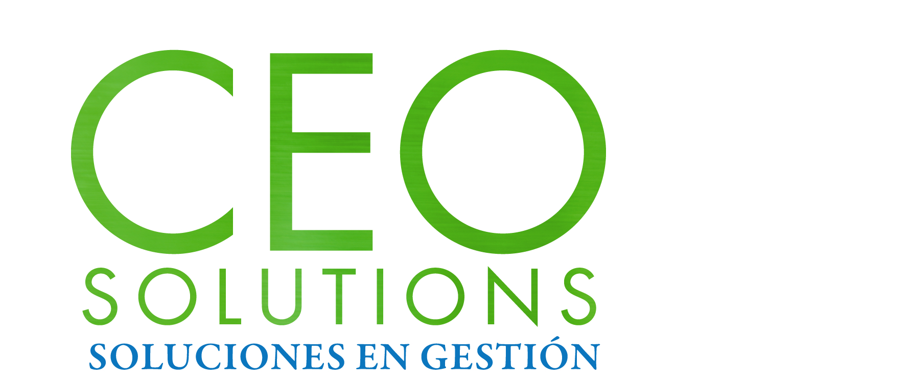 Logo CEOSOLUTIONS