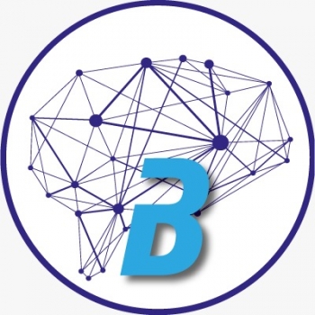 Logo Brainamics Capacitación Spa.