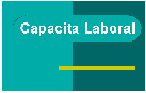 Logo CAPACITA LABORAL