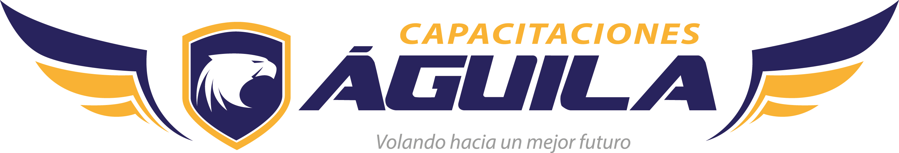 Logo Capacitaciones Aguila E.I.R.L