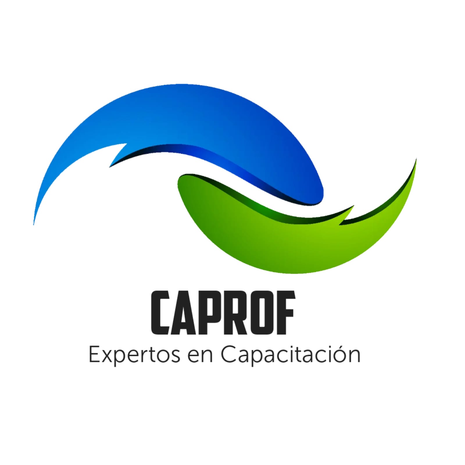 Logo CAPACITACIONES PROFESIONALES SPA