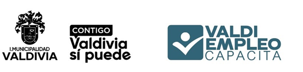 Logo Valdi Empleo Capacita
