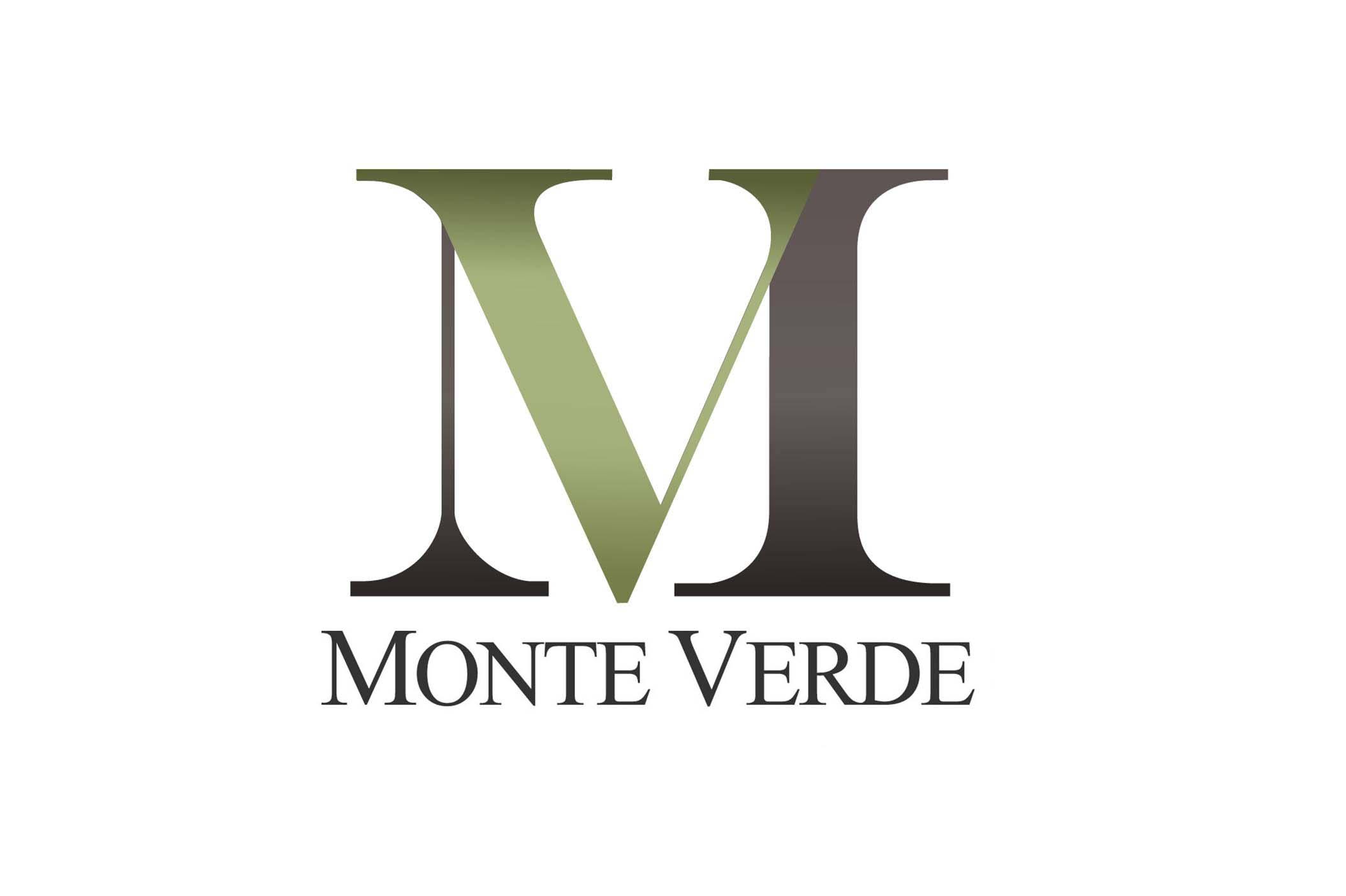 Logo MONTE VERDE CAPACITACIONES SpA
