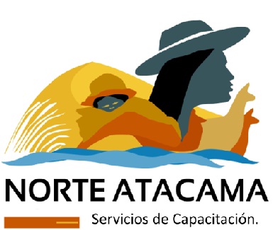 Logo NORTE ATACAMA  SERVICIOS DE CAPACITACION EIRL