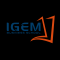 Logo Igem Business School