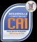 Logo Centro CAI USACH