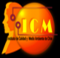 Logo ICM CHILE 