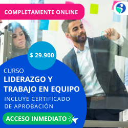 publicidad Curso Liderazgo y Trabajo en Equipo