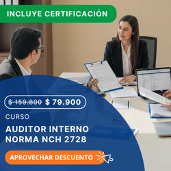 publicidad AUDITOR 2728