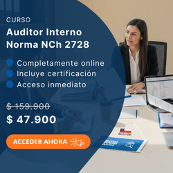 publicidad Auditor interno Nch2728